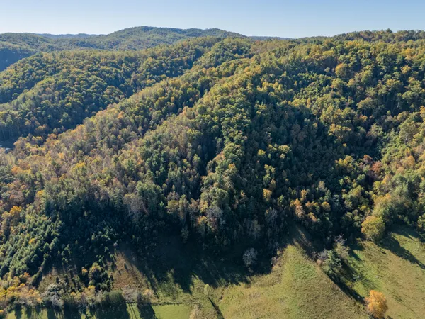 $155,000 | Tbd Lick Ridge Road Northeast, Check, VA 24072