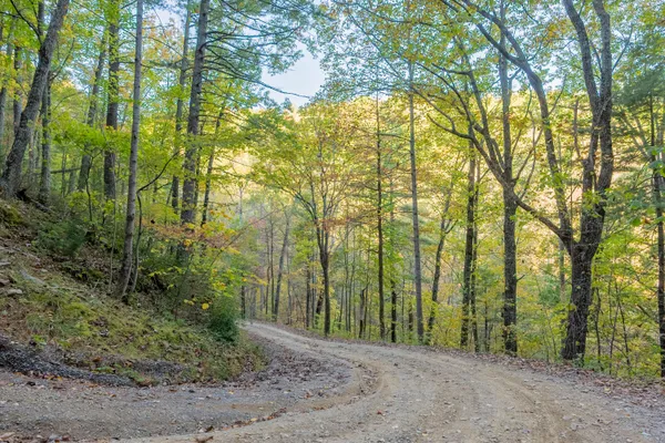 $155,000 | Tbd Lick Ridge Road Northeast, Check, VA 24072