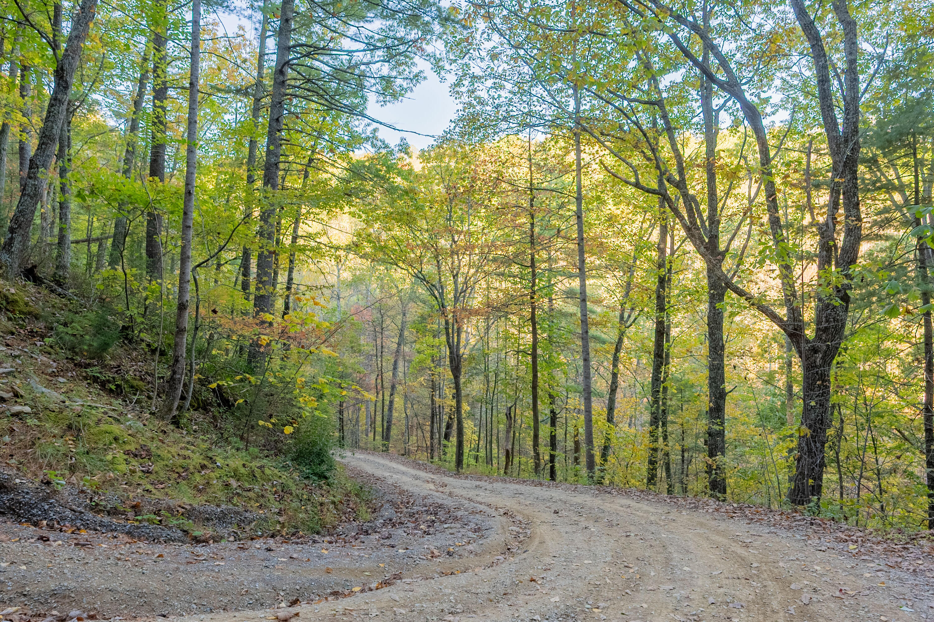Tbd Lick Ridge Road Northeast Check, VA 24072 - Photo 39 of 71 a view of a yard with trees