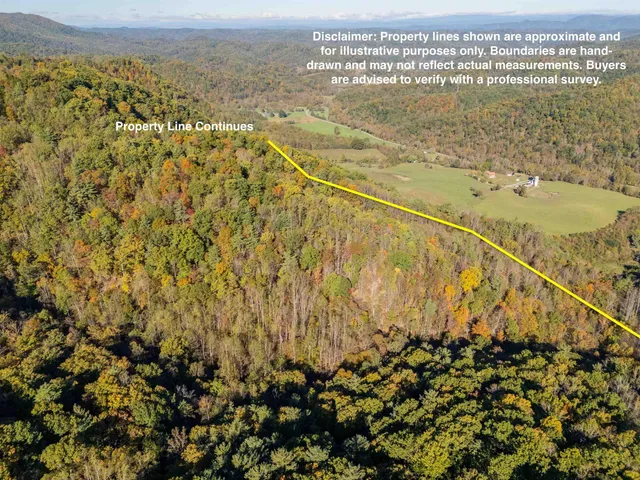 a view of a bunch of trees