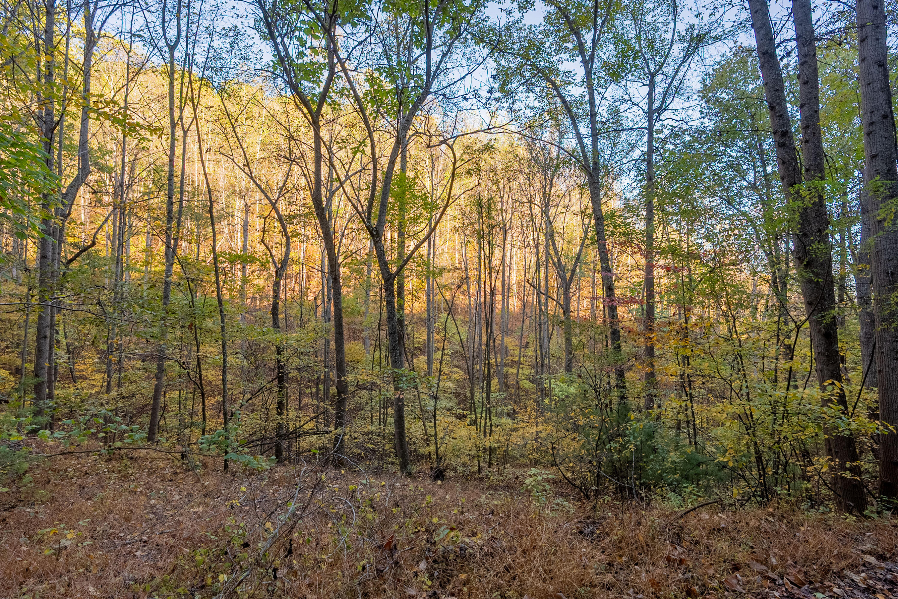 Tbd Lick Ridge Road Northeast Check, VA 24072 - Photo 41 of 71 shawsville-5