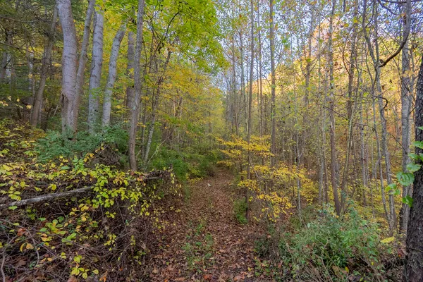 $155,000 | Tbd Lick Ridge Road Northeast, Check, VA 24072
