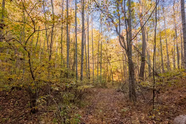 $155,000 | Tbd Lick Ridge Road Northeast, Check, VA 24072