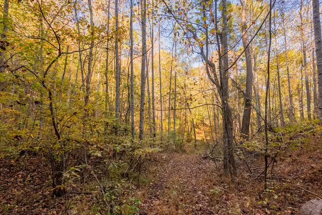 a view of a yard with wooden fence