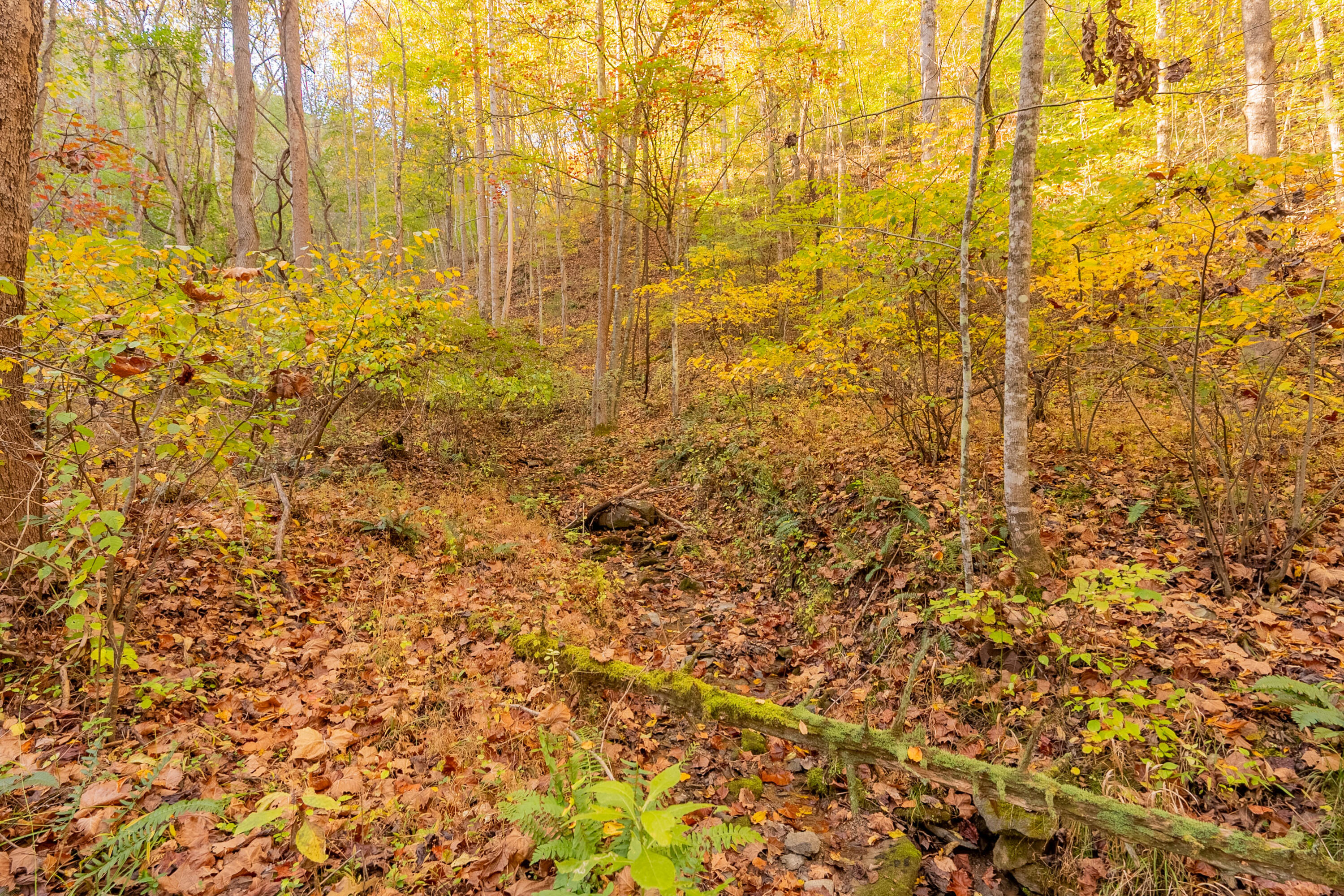 Tbd Lick Ridge Road Northeast Check, VA 24072 - Photo 45 of 71 shawsville-9