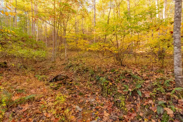 $155,000 | Tbd Lick Ridge Road Northeast, Check, VA 24072