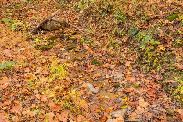 $155,000 | Tbd Lick Ridge Road Northeast, Check, VA 24072