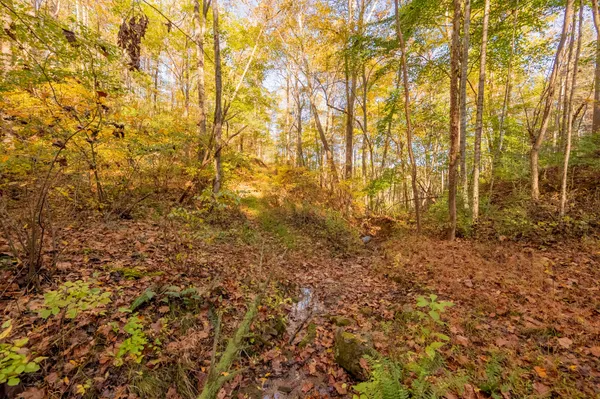 $155,000 | Tbd Lick Ridge Road Northeast, Check, VA 24072