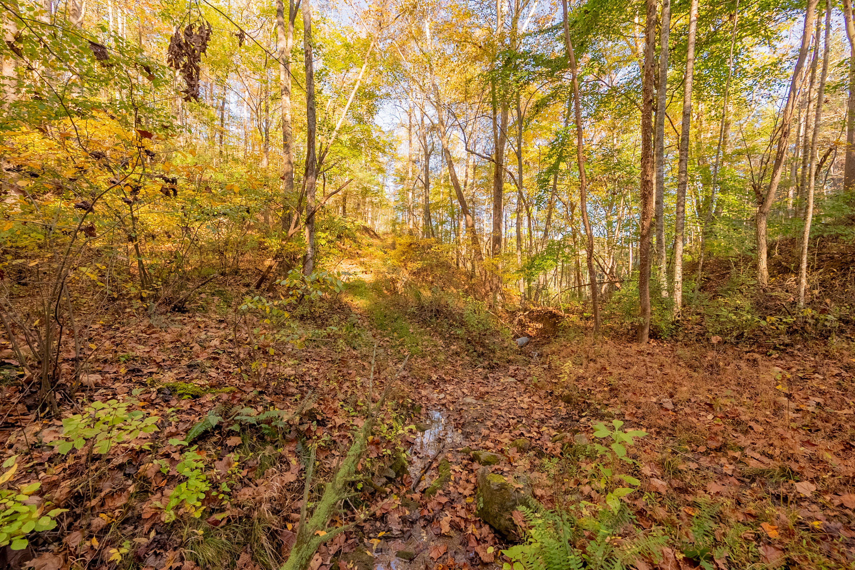 Tbd Lick Ridge Road Northeast Check, VA 24072 - Photo 48 of 71 a view of backyard with wooden fence
