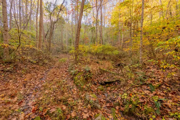 $155,000 | Tbd Lick Ridge Road Northeast, Check, VA 24072