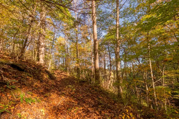 $155,000 | Tbd Lick Ridge Road Northeast, Check, VA 24072