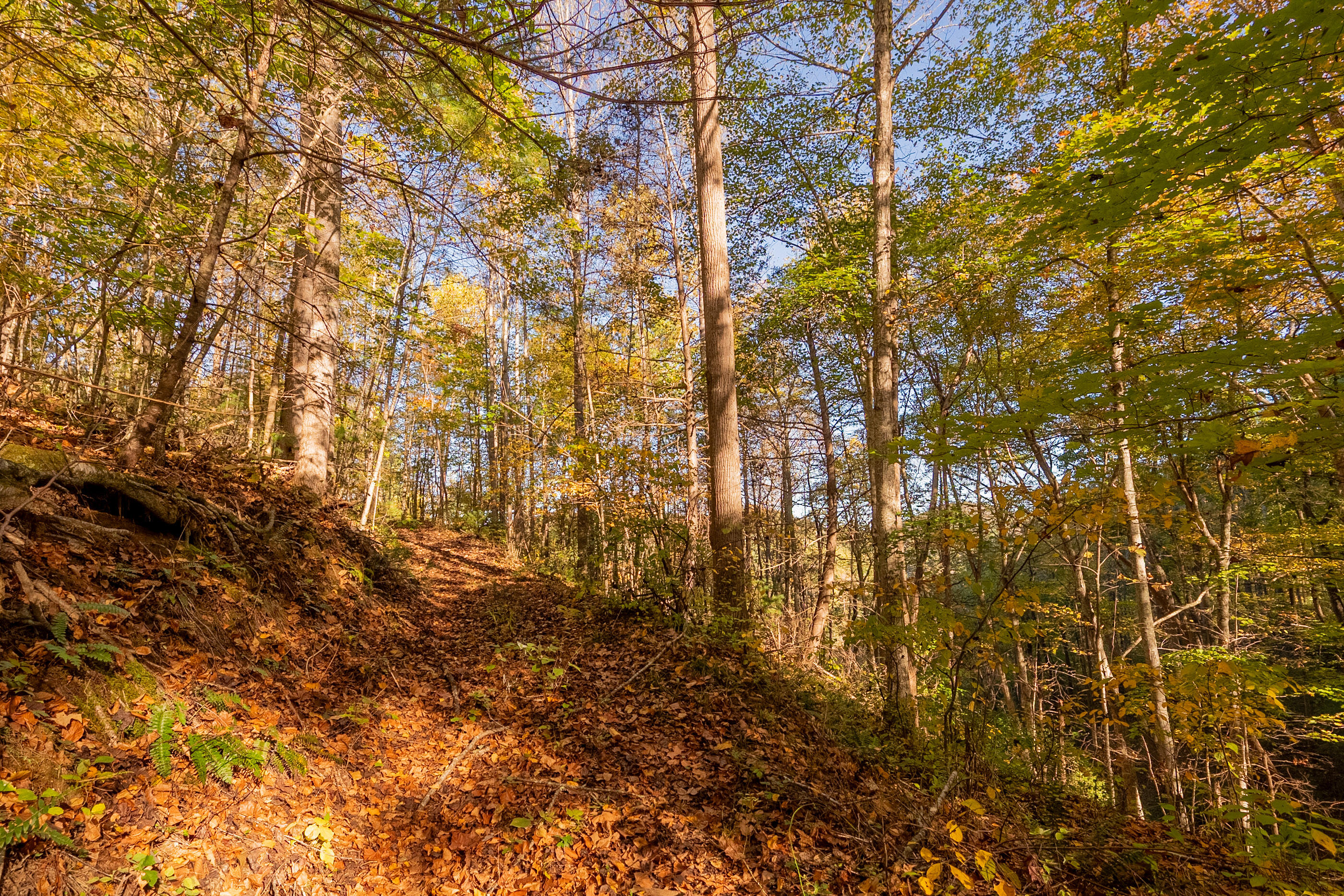 Tbd Lick Ridge Road Northeast Check, VA 24072 - Photo 50 of 71 shawsville-14