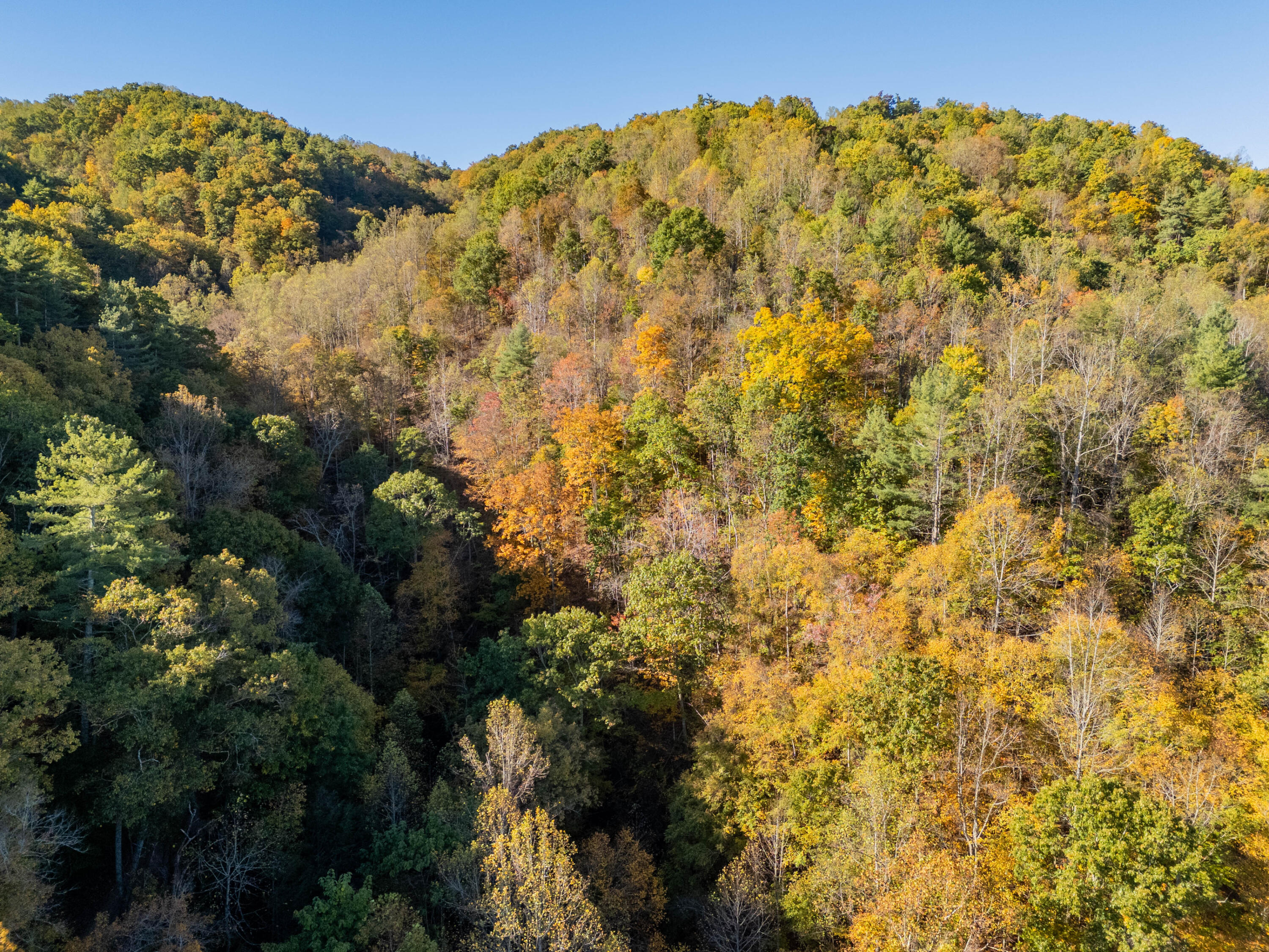 Tbd Lick Ridge Road Northeast Check, VA 24072 - Photo 5 of 71 a view of a large yard