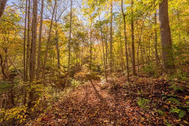 $175,000 | Tbd Lick Ridge Road Northeast, Check, VA 24072