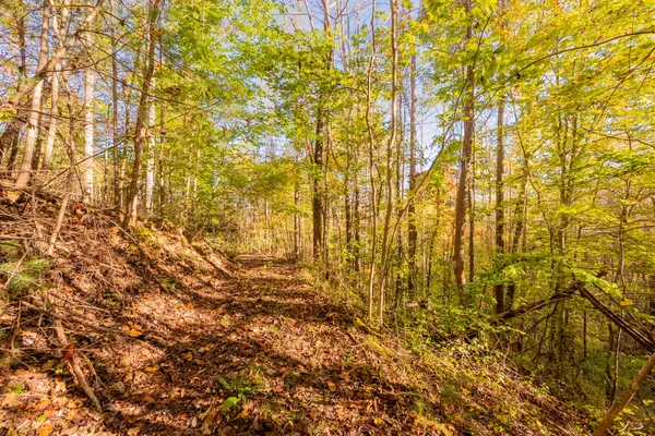 $155,000 | Tbd Lick Ridge Road Northeast, Check, VA 24072