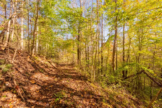 $175,000 | Tbd Lick Ridge Road Northeast, Check, VA 24072
