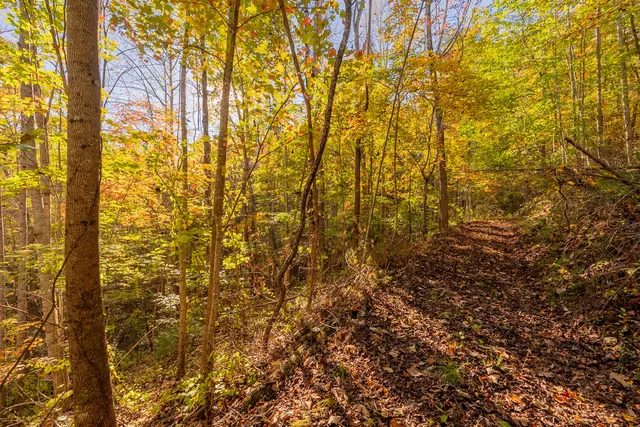 $175,000 | Tbd Lick Ridge Road Northeast, Check, VA 24072