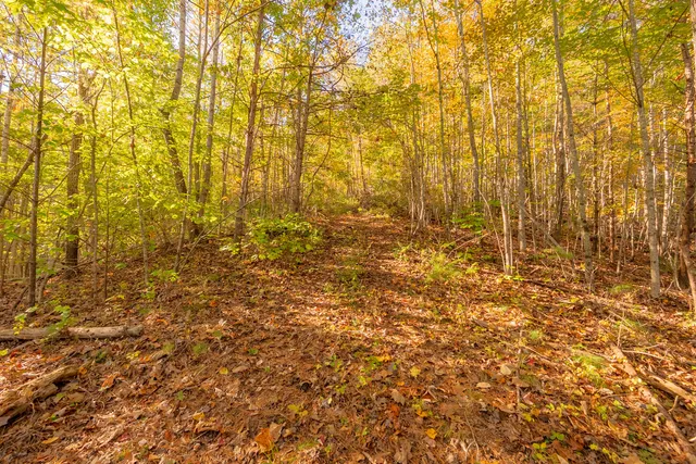 $175,000 | Tbd Lick Ridge Road Northeast, Check, VA 24072