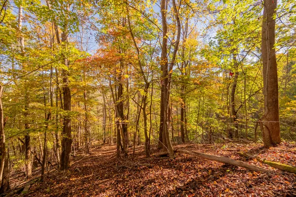 $155,000 | Tbd Lick Ridge Road Northeast, Check, VA 24072