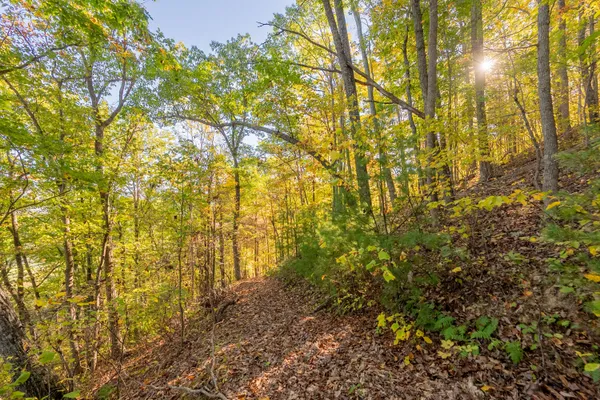 $155,000 | Tbd Lick Ridge Road Northeast, Check, VA 24072