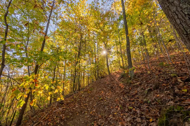 $175,000 | Tbd Lick Ridge Road Northeast, Check, VA 24072