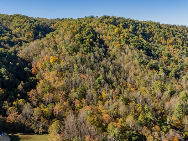 $155,000 | Tbd Lick Ridge Road Northeast, Check, VA 24072