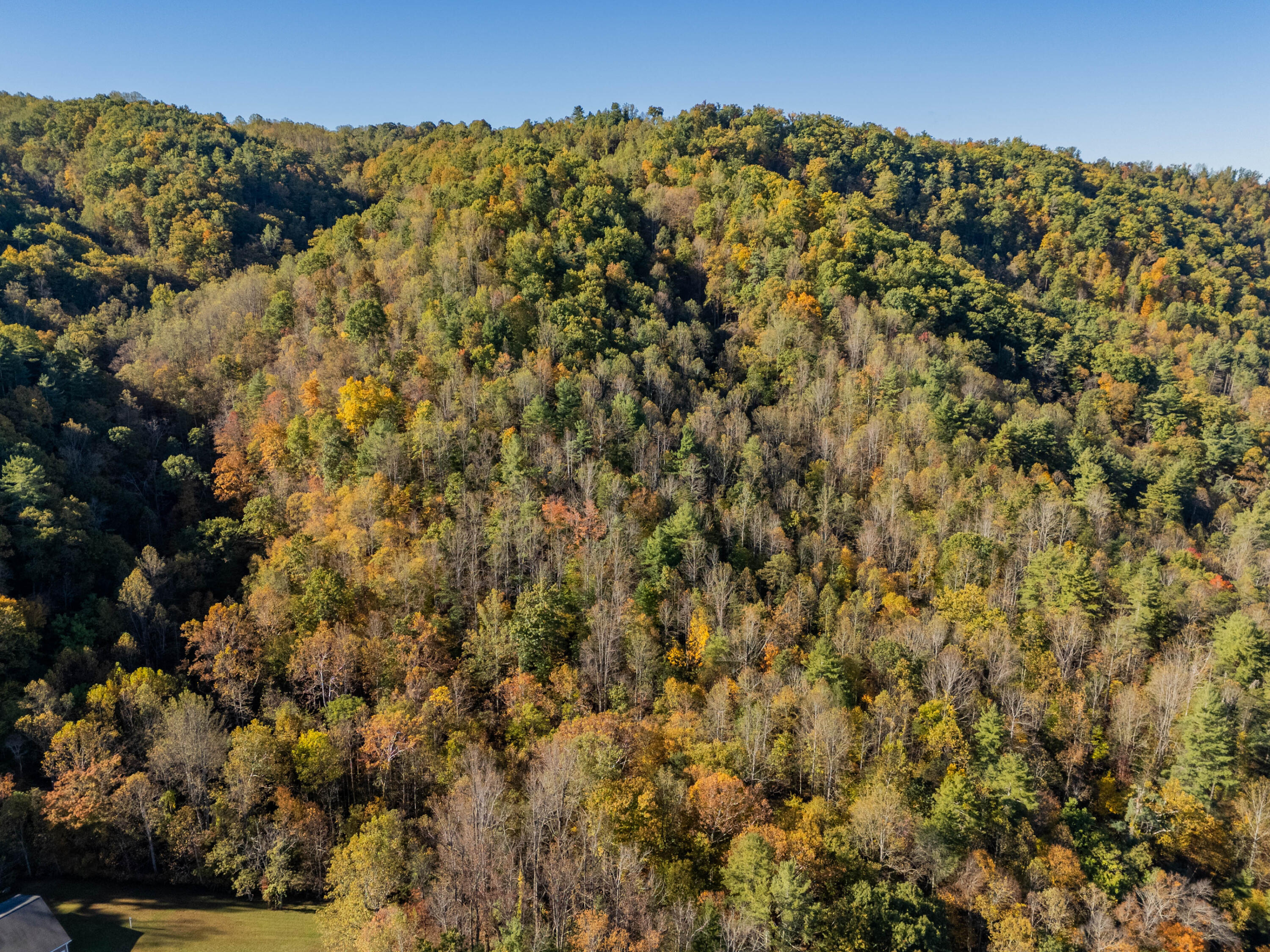 Tbd Lick Ridge Road Northeast Check, VA 24072 - Photo 6 of 71 a view of a bunch of trees