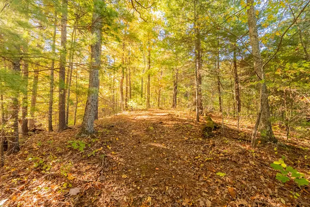 $175,000 | Tbd Lick Ridge Road Northeast, Check, VA 24072