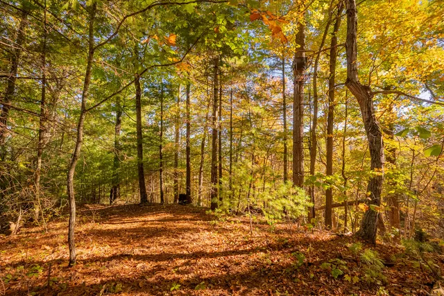 $175,000 | Tbd Lick Ridge Road Northeast, Check, VA 24072