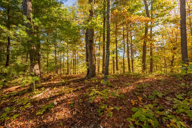 $175,000 | Tbd Lick Ridge Road Northeast, Check, VA 24072