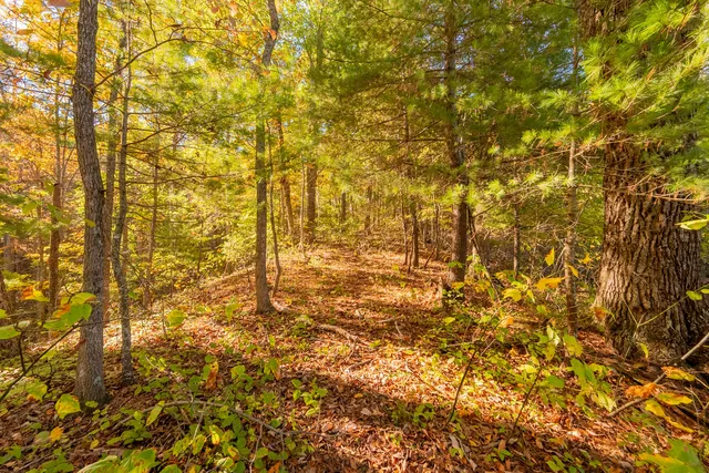 $175,000 | Tbd Lick Ridge Road Northeast, Check, VA 24072