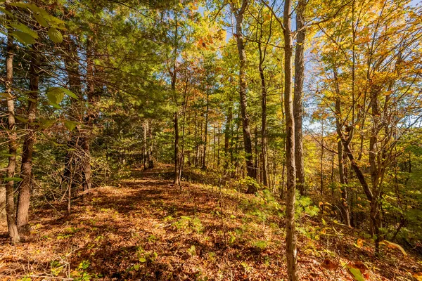 $155,000 | Tbd Lick Ridge Road Northeast, Check, VA 24072