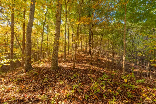 $175,000 | Tbd Lick Ridge Road Northeast, Check, VA 24072
