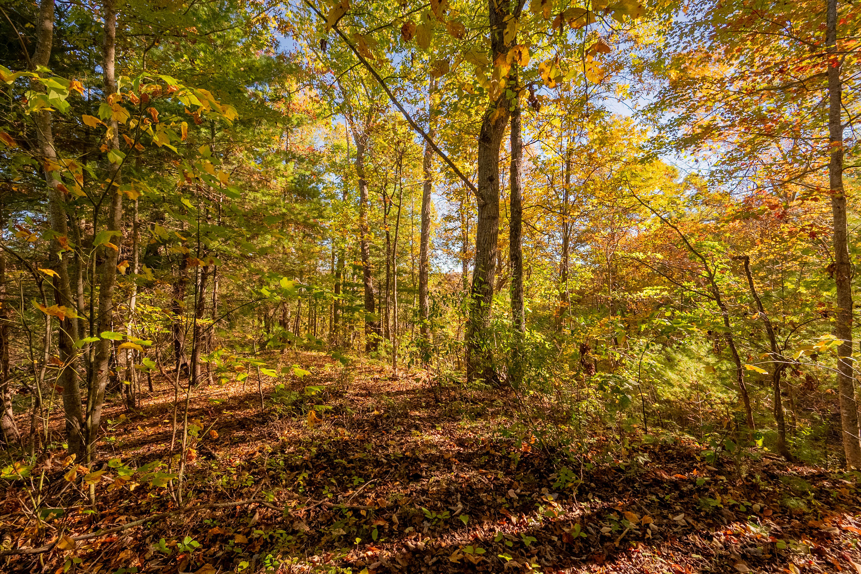 Tbd Lick Ridge Road Northeast Check, VA 24072 - Photo 68 of 71 shawsville-32