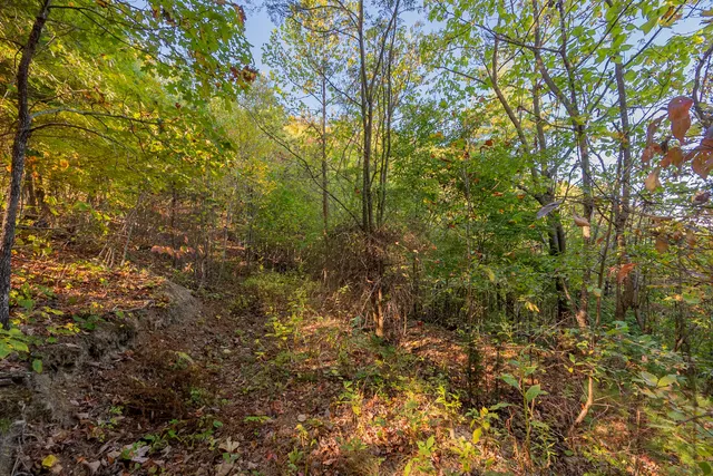 $175,000 | Tbd Lick Ridge Road Northeast, Check, VA 24072