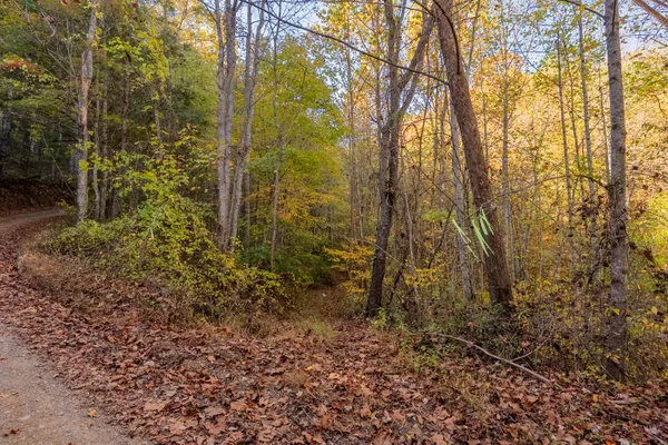 $155,000 | Tbd Lick Ridge Road Northeast, Check, VA 24072