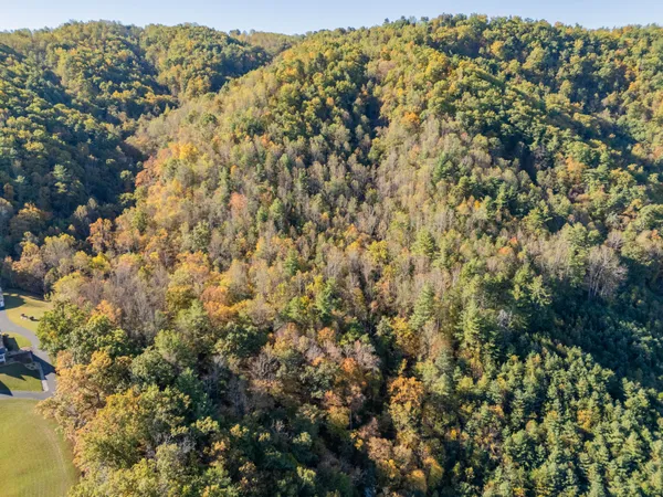 $155,000 | Tbd Lick Ridge Road Northeast, Check, VA 24072