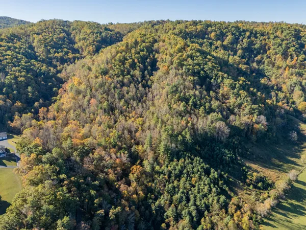 $155,000 | Tbd Lick Ridge Road Northeast, Check, VA 24072