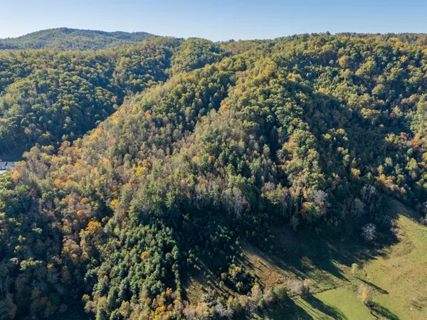 $155,000 | Tbd Lick Ridge Road Northeast, Check, VA 24072