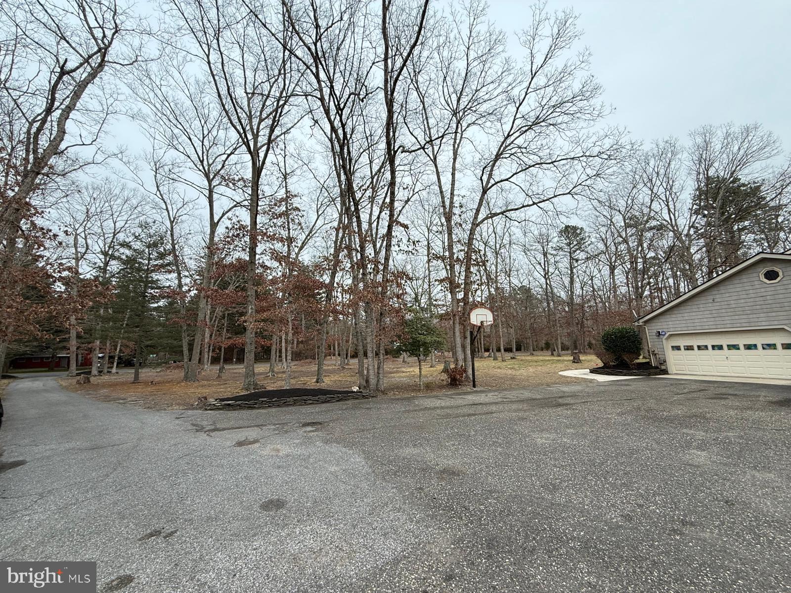 620 Columbia Road Egg Harbor City, NJ 08215 - Photo 19 of 53 a view of dirt field with trees in the background