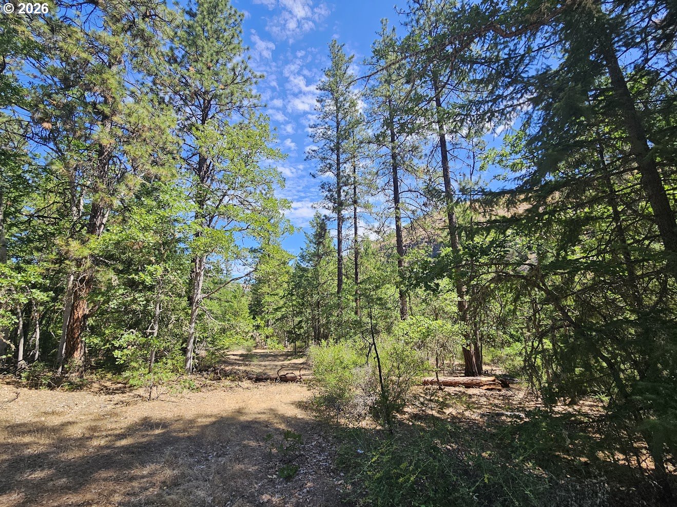 Lovers Lane Lyle, WA 98635 - Photo 6 of 25