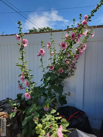 $320,000 | 605 10th Street, Idaho Falls, ID 83404