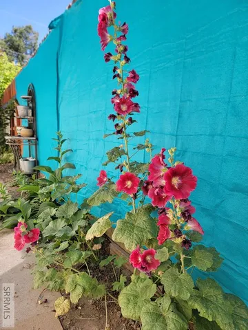 $320,000 | 605 10th Street, Idaho Falls, ID 83404