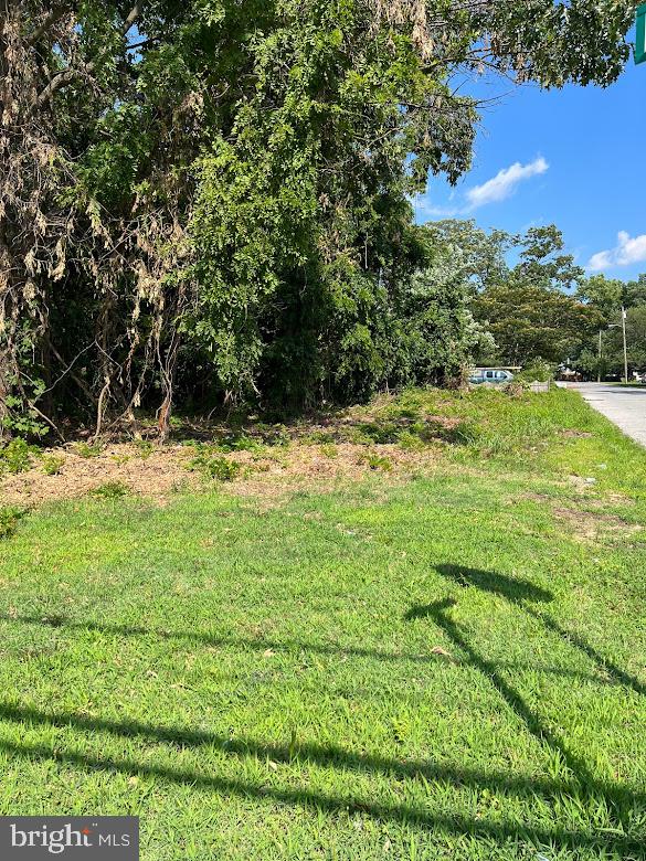 231 Erial Road Pine Hill, NJ 08021 - Photo 4 of 6 2nd Ave on right