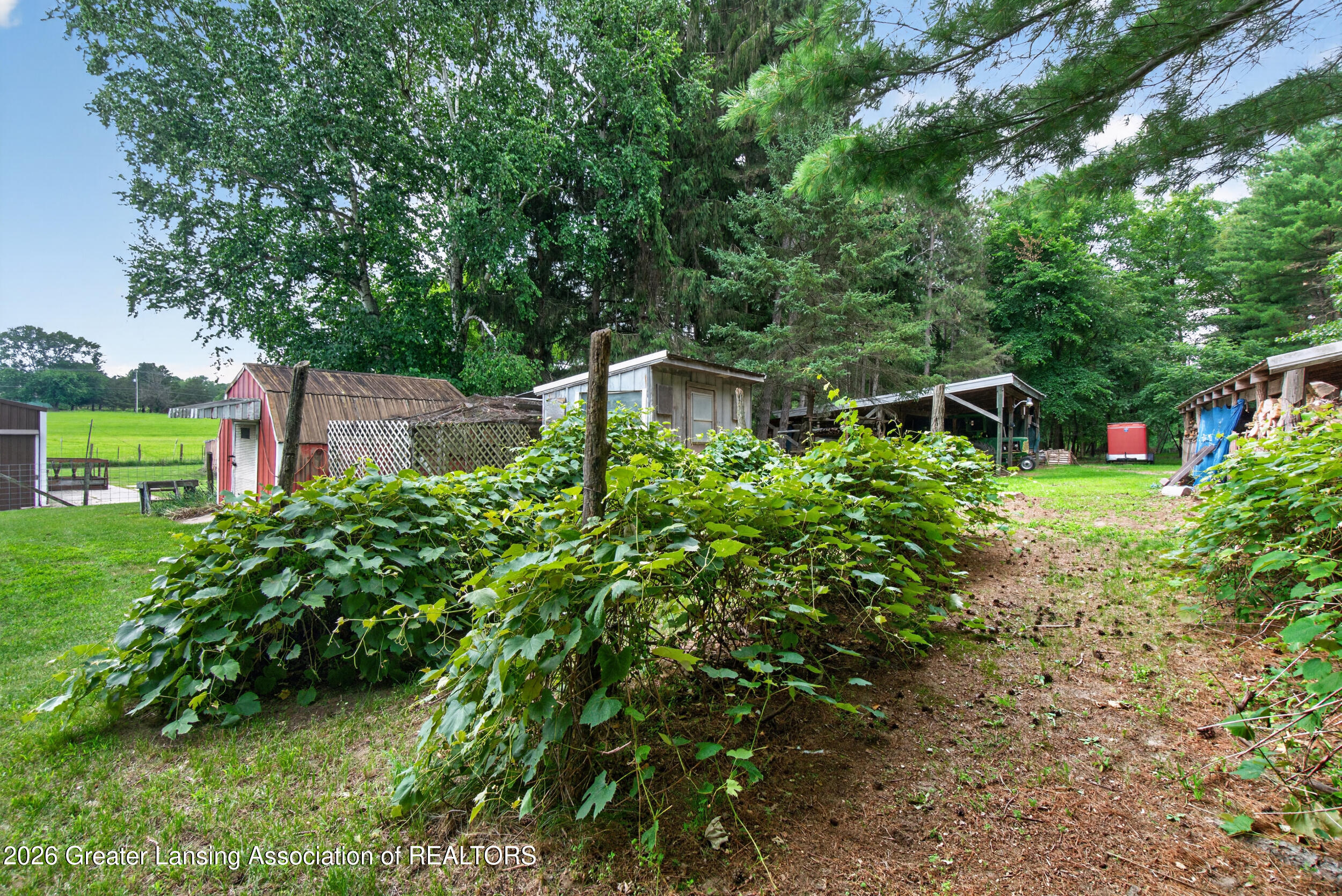 1611 South Williamston Road Dansville, MI 48819 - Photo 50 of 62 50_1611 s william rd dansville mi - 0001