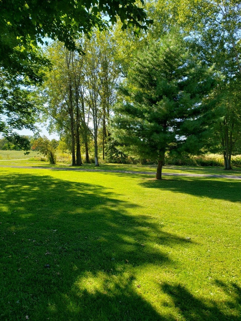 6406 Emahiser Road Caledonia, OH 43314 - Photo 8 of 11 Gallery Image 8