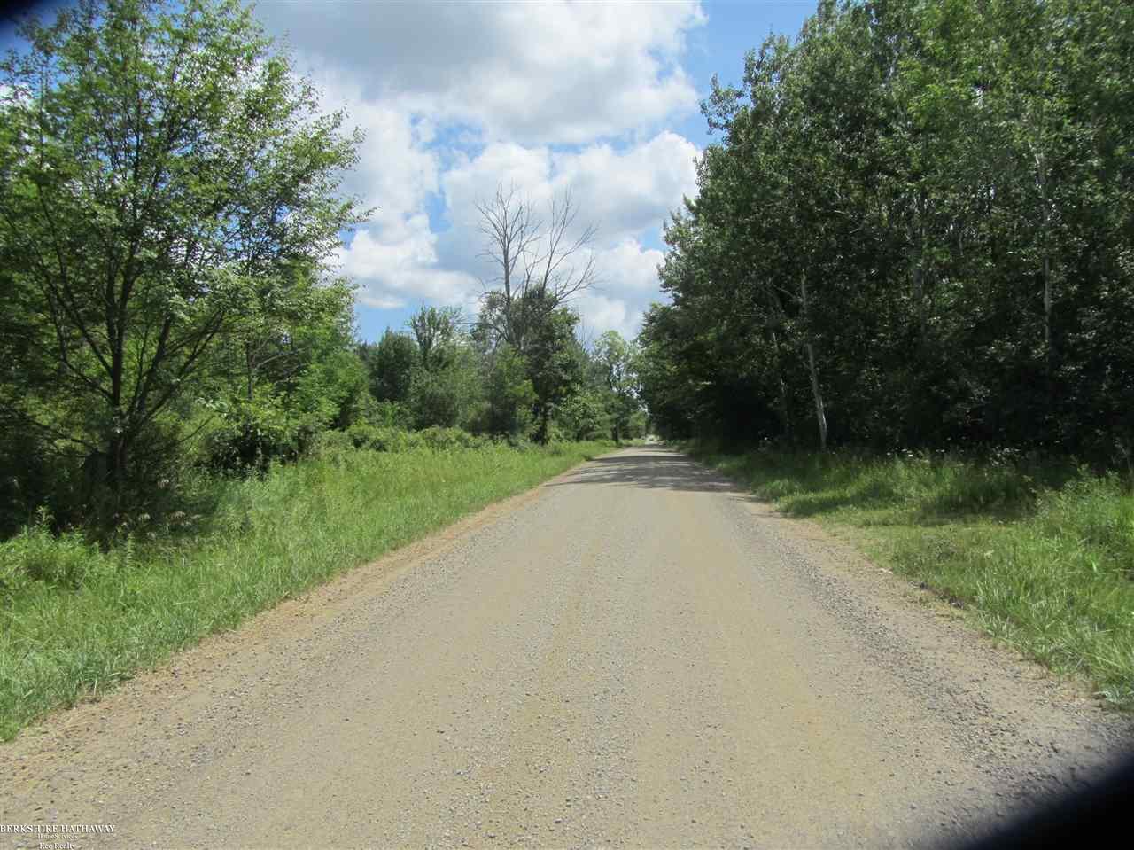 0 West Wellman Line Road Yale, MI 48097 - Photo 5 of 10