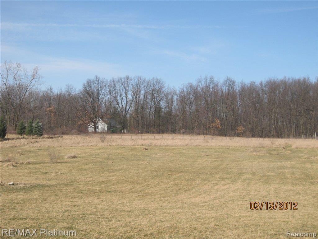 6135 Baker Road Howell, MI 48843 - Photo 3 of 6 back yard views baker spring.jpg