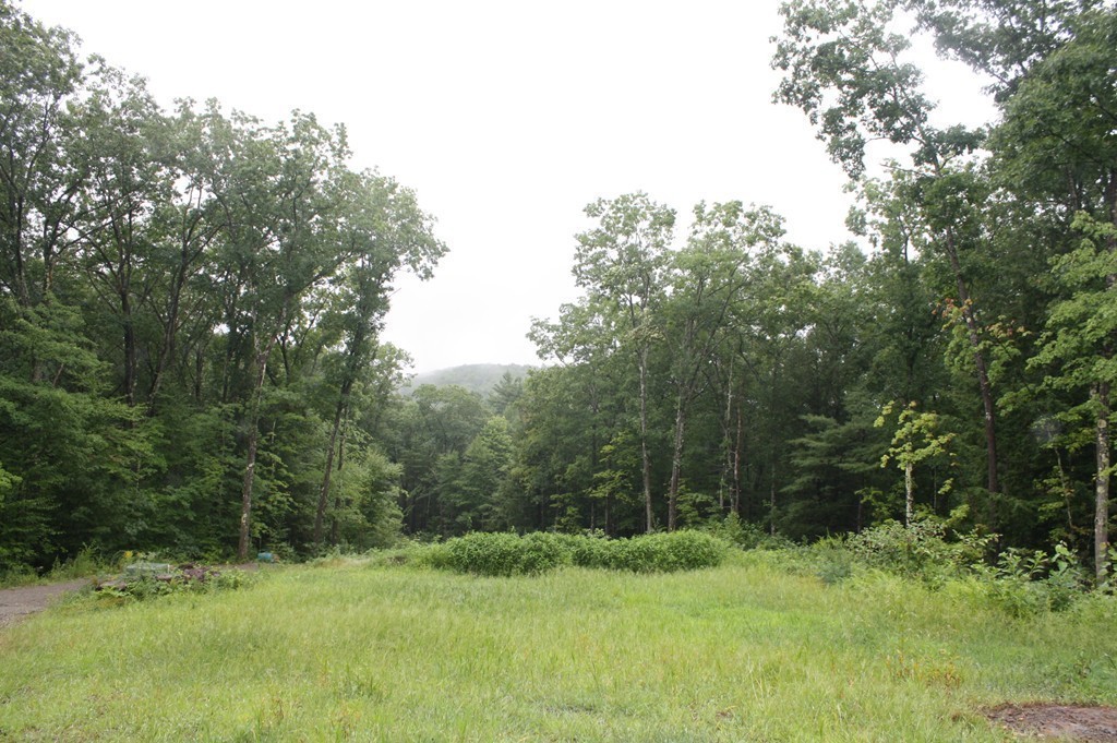 42 Hoe Shop Road Gill, MA 01354 - Photo 3 of 17 Gallery Image 3