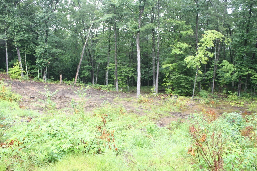 42 Hoe Shop Road Gill, MA 01354 - Photo 4 of 17 Gallery Image 4